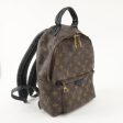 Louis Vuitton Monogram Palm Springs Back Pack PM Brown M44871 Online Sale