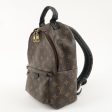 Louis Vuitton Monogram Palm Springs Back Pack PM Brown M44871 Online Sale