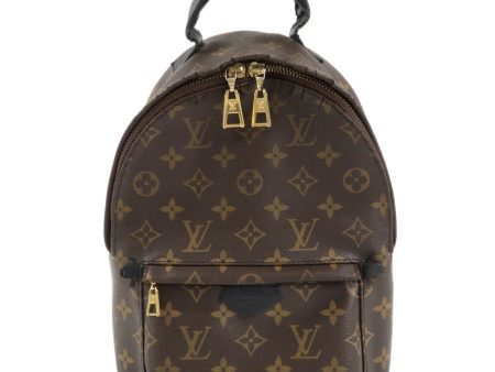 Louis Vuitton Monogram Palm Springs Back Pack PM Brown M44871 Online Sale