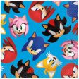 Sonic the Hedgehog Luncheon Napkins, 16ct Cheap